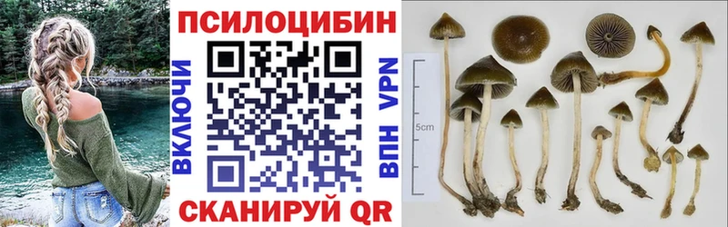 Псилоцибиновые грибы MAGIC MUSHROOMS  закладка  даркнет наркотические препараты  Петухово 