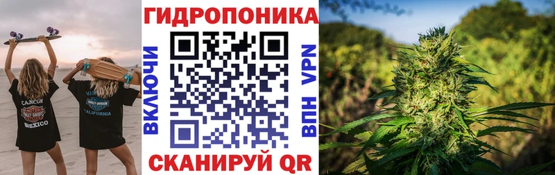 закладки  Петухово  Бошки марихуана OG Kush 
